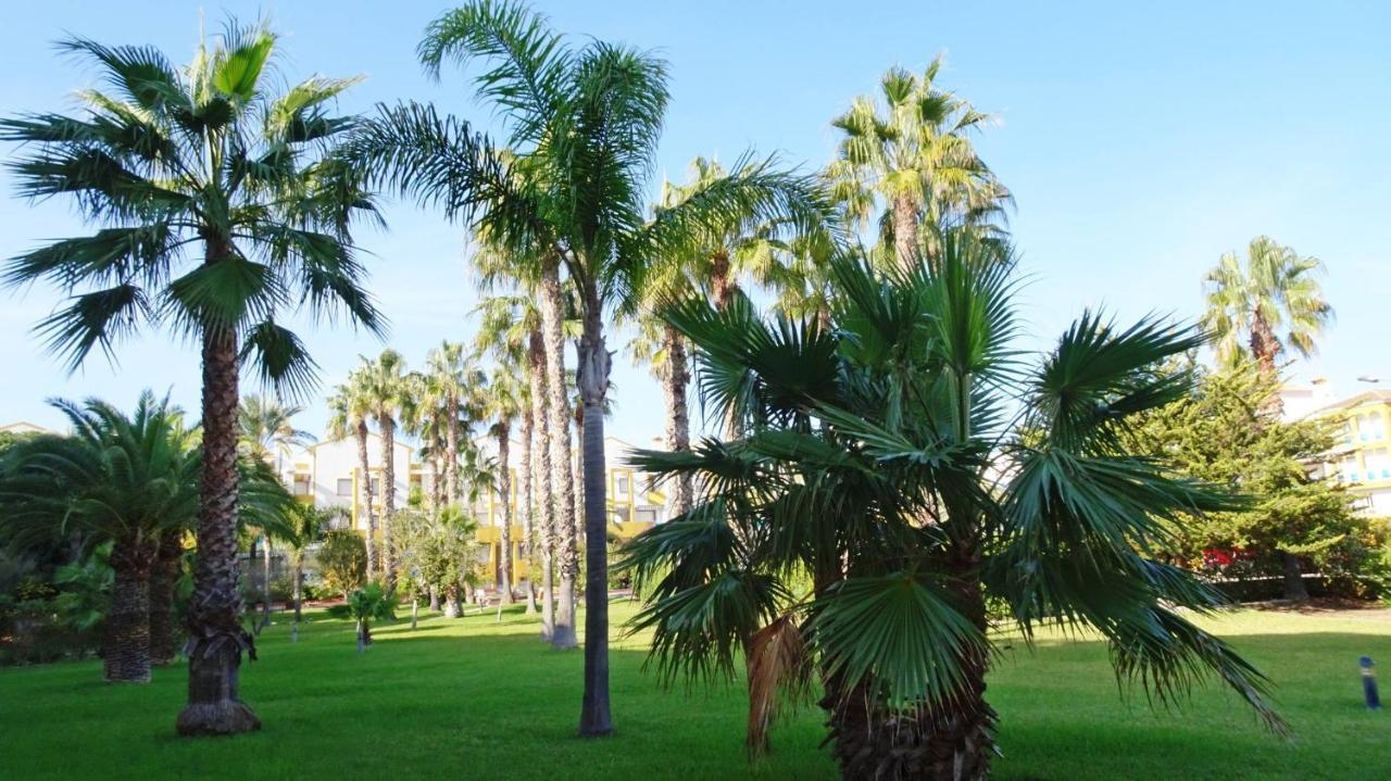 Apartament Palmeras En La Playa - House In Oliva