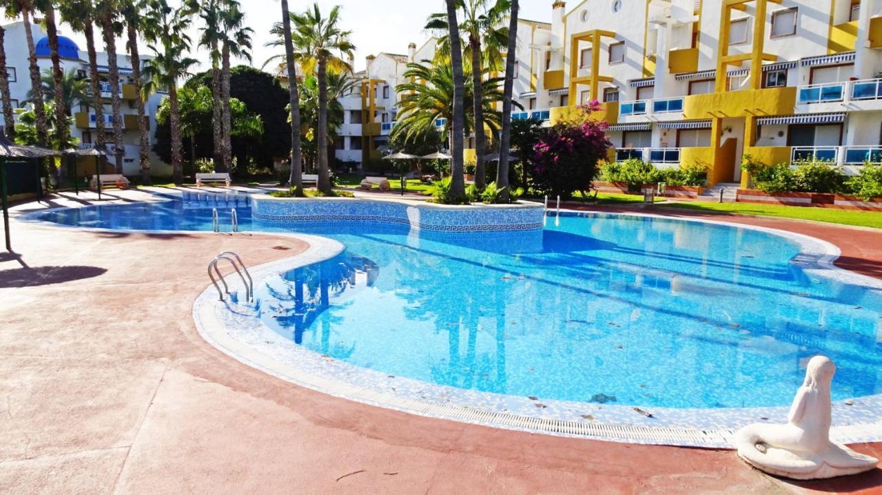 Apartment Palmeras En La Playa - House In *