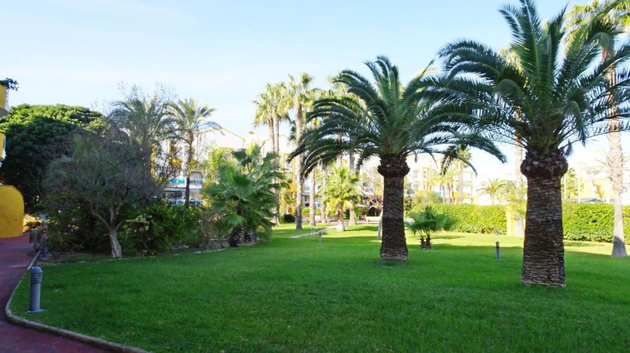Palmeras En La Playa - House In * Oliva